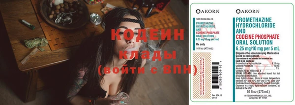 хмурый Ветлуга