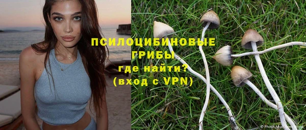 СК Куйбышев