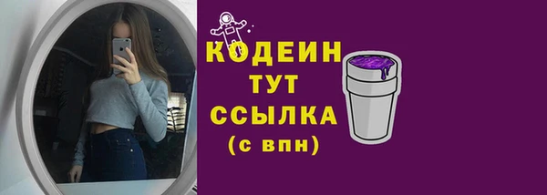 прущий лед Корсаков