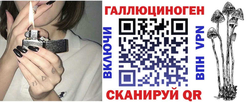 Псилоцибиновые грибы Psilocybine cubensis  закладка  Майский 